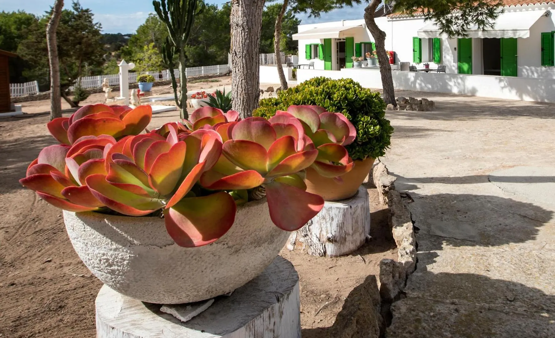 Apartamentos Can Guasch Formentera La Savina  Spain